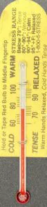 Mercury-free glass medical thermometer MED-9 — Echo Therm