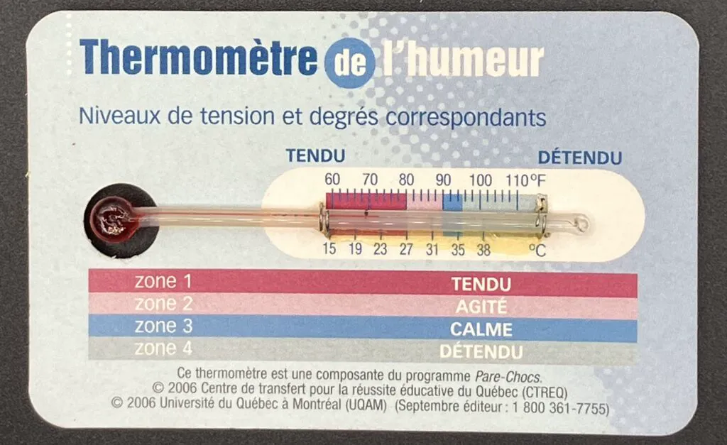 Mercury-free glass medical thermometer MED-2 — Echo Therm