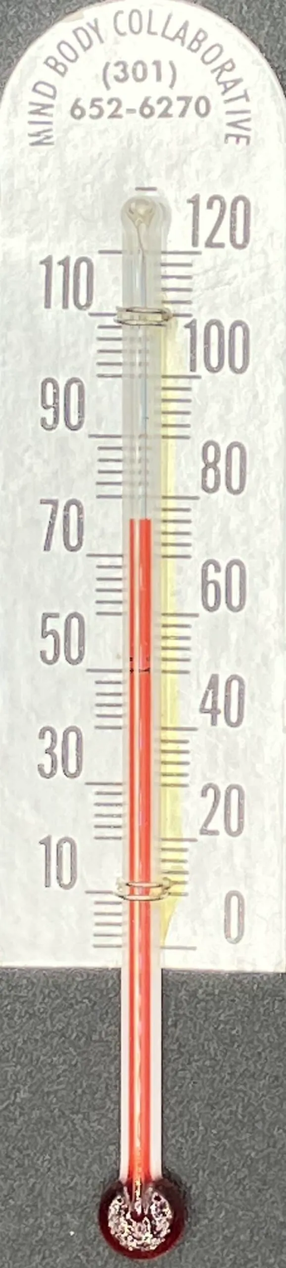 Echo Therm mercury-free clinical thermometer MED-1